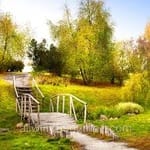 Avatar of Abdul Moiz